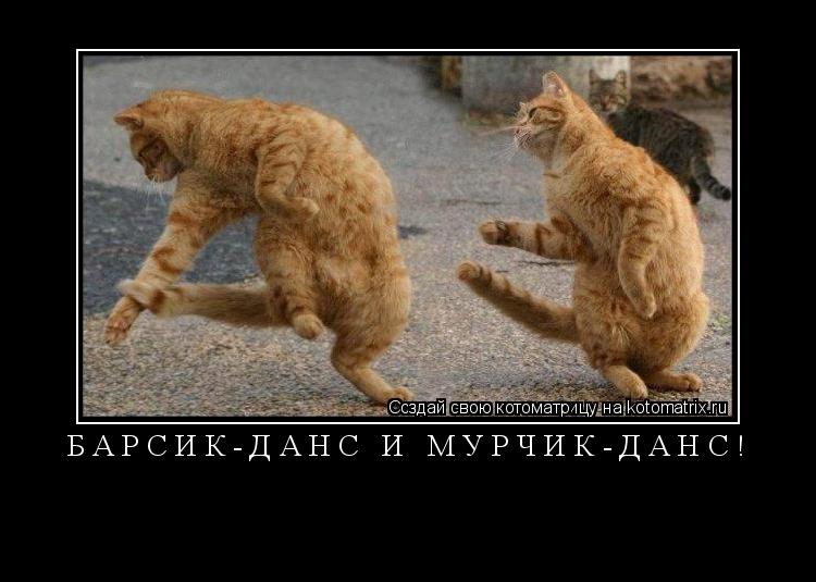 барсик-данс и мурчик-данс! ... Котоматрица: барсик-данс и мурчик-данс!