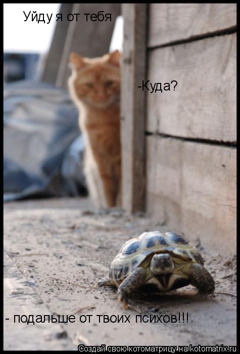 Уйду я от тебя -Куда? - подальше от твоих психов!!!... Котоматрица: Уйду я от тебя -Куда? - подальше от твоих психов!!!