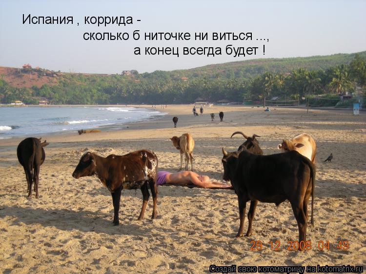 Испания , коррида - сколько б ниточке ни виться ..., а конец всегда будет !... Котоматрица: Испания , коррида - сколько б ниточке ни виться ..., а конец всегда будет !
