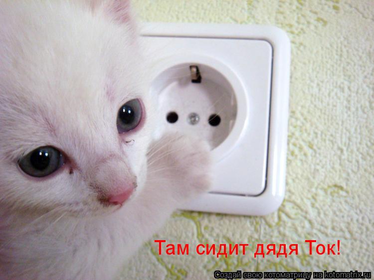 Там сидит дядя Ток!... Котоматрица: Там сидит дядя Ток!