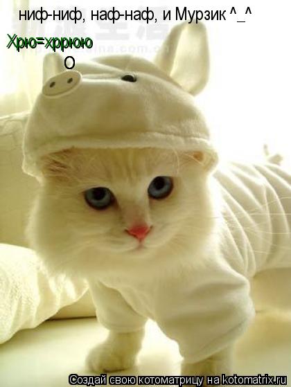 ниф-ниф, наф-наф, и Мурзик ^_^ О О О Хрю=хррюю... Котоматрица: ниф-ниф, наф-наф, и Мурзик ^_^ О О О Хрю=хррюю