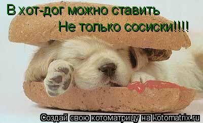 в хот-дог можно ставить В хот-дог можно ставить Не только сосиски!!!!... Котоматрица: в хот-дог можно ставить В хот-дог можно ставить Не только сосиски!!!!