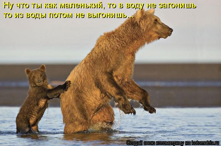 Ну что ты как маленький, то в воду не загонишь то из воды потом не выгонишь...... Котоматрица: Ну что ты как маленький, то в воду не загонишь то из воды потом не выгонишь...
