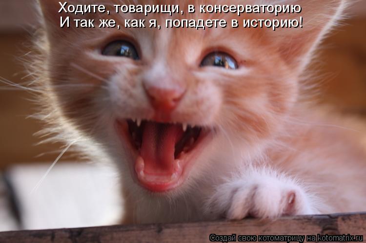 Ходите, товарищи, в консерваторию И так же, как я, попадете в историю!... Котоматрица: Ходите, товарищи, в консерваторию И так же, как я, попадете в историю!