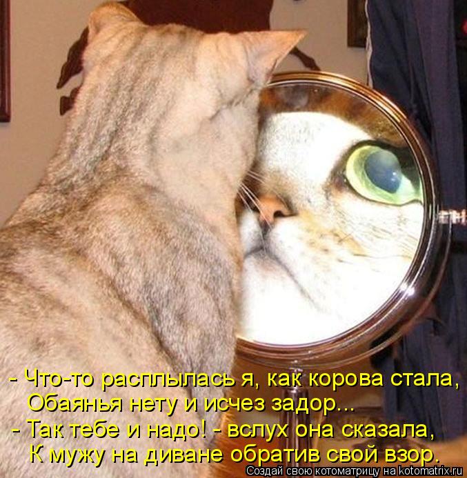 - Что-то расплылась я, как корова стала, Обаянья нету и исчез задор... - Так тебе и надо! - вслух она... Котоматрица: - Что-то расплылась я, как корова стала, Обаянья нету и исчез задор... - Так тебе и надо! - вслух она сказала, К мужу на диване обратив свой взор.