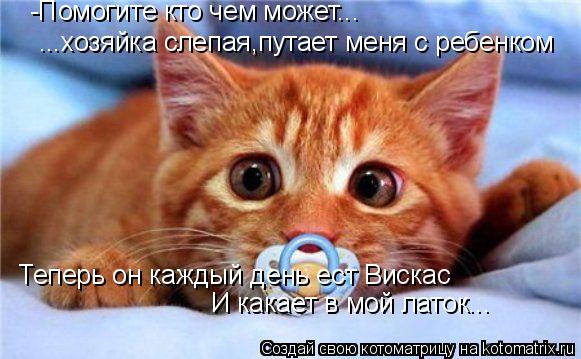-Помогите кто чем может... ...хозяйка слепая,путает меня с ребенком Теперь он каждый день ест Вискас ... Котоматрица: -Помогите кто чем может... ...хозяйка слепая,путает меня с ребенком Теперь он каждый день ест Вискас И какает в мой латок...