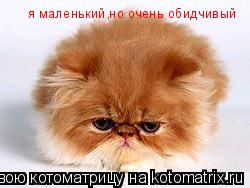 я маленький,но очень обидчивый... Котоматрица: я маленький,но очень обидчивый
