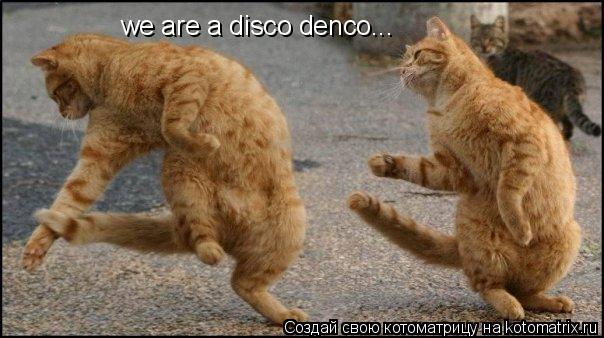 we are a disco denco...... Котоматрица: we are a disco denco...