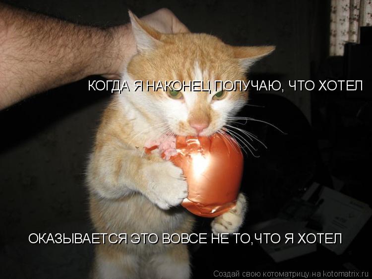 Котоматрица: КОГДА Я НАКОНЕЦ ПОЛУЧАЮ, ЧТО ХОТЕЛ ОКАЗЫВАЕТСЯ ЭТО ВОВСЕ НЕ ТО,ЧТО Я ХОТЕЛ