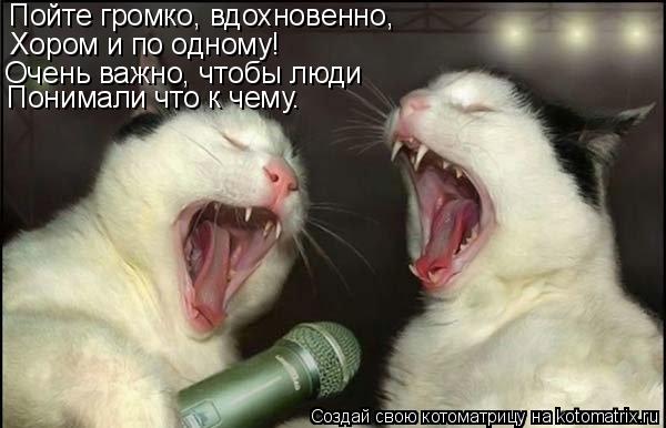 Котоматрица: Пойте громко, вдохновенно, Хором и по одному! Очень важно, чтобы люди Понимали что к чему.