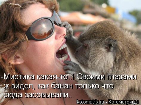 -Мистика какая-то..! Своими глазами ж видел, как банан только что сюда засовывали..... Котоматрица: -Мистика какая-то..! Своими глазами ж видел, как банан только что сюда засовывали..