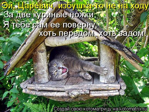За две куриные ножки, Я тебе сам ее поверну, хоть передом, хоть задом! Эй, Царевич, избушка-то не на... Котоматрица: За две куриные ножки, Я тебе сам ее поверну, хоть передом, хоть задом! Эй, Царевич, избушка-то не на ходу