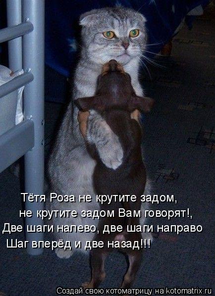 Тётя Роза не крутите задом, не крутите задом Вам говорят!, Две шаги налево, две шаги направо Шаг в... Котоматрица: Тётя Роза не крутите задом, не крутите задом Вам говорят!, Две шаги налево, две шаги направо Шаг вперёд и две назад!!!