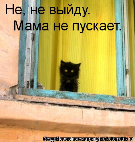 Не, не выйду. Мама не пускает.... Котоматрица: Не, не выйду. Мама не пускает.