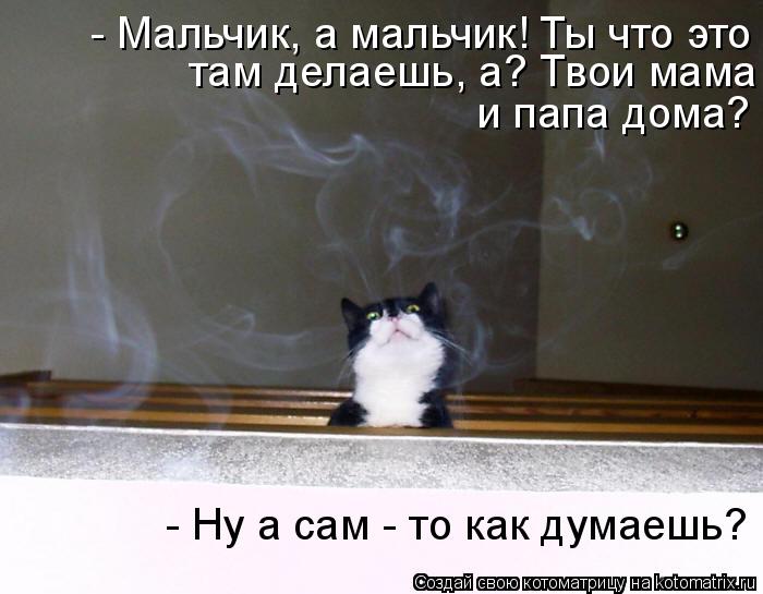 - Мальчик, а мальчик! Ты что это там делаешь, а? Твои мама и папа дома? там делаешь, а? Твои мама и п... Котоматрица: - Мальчик, а мальчик! Ты что это там делаешь, а? Твои мама и папа дома? там делаешь, а? Твои мама и папа дома? и папа дома? - Ну а сам - то как думаеш