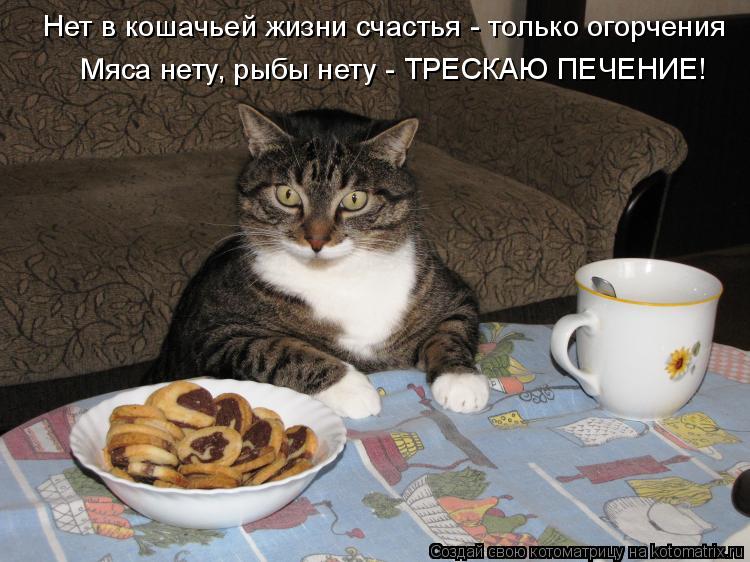 Нет в кошачьей жизни счастья - только огорчения Мяса нету, рыбы нету - ТРЕСКАЮ ПЕЧЕНИЕ!... Котоматрица: Нет в кошачьей жизни счастья - только огорчения Мяса нету, рыбы нету - ТРЕСКАЮ ПЕЧЕНИЕ!