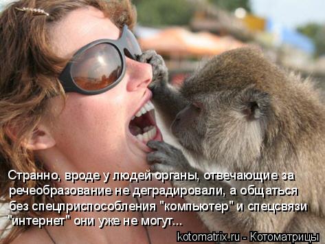 Странно, вроде у людей органы, отвечающие за речеобразование не деградировали, а общаться без спецпри... Котоматрица: Странно, вроде у людей органы, отвечающие за речеобразование не деградировали, а общаться без спецприспособления "компьютер" и спецсвязи "и