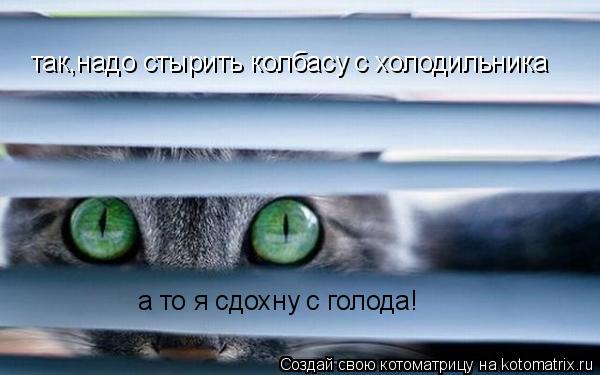 так,надо стырить колбасу с холодильника а то я сдохну с голода!... Котоматрица: так,надо стырить колбасу с холодильника а то я сдохну с голода!