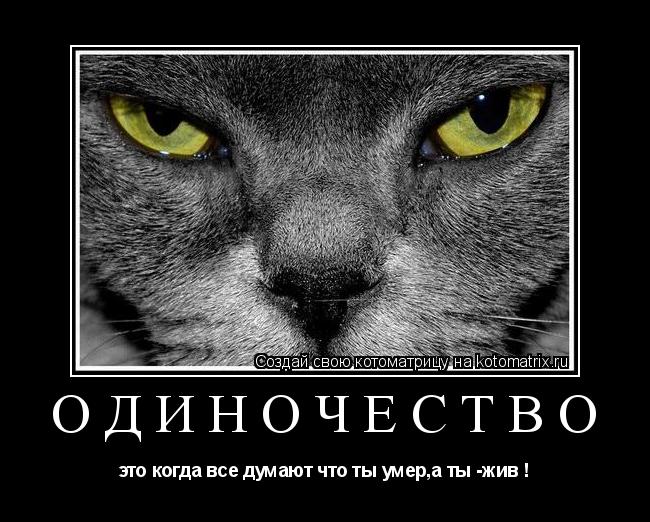 Котоматрица: одиночество это когда все думают что ты умер,а ты -жив !