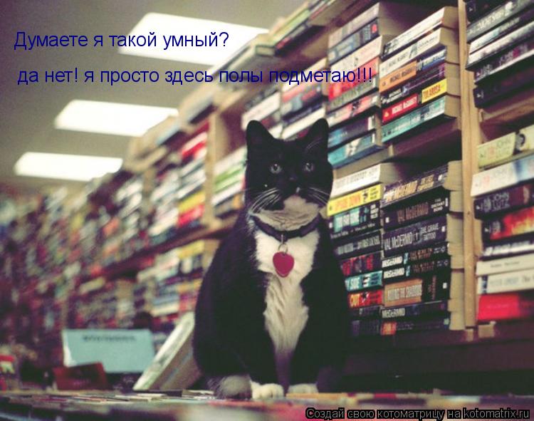 Думаете я такой умный? да нет! я просто здесь полы подметаю!!!... Котоматрица: Думаете я такой умный? да нет! я просто здесь полы подметаю!!!