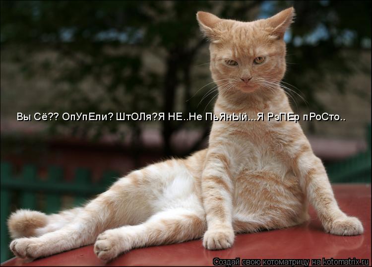 Котоматрица: Вы Сё?? ОпУпЕли? ШтОЛя?Я НЕ..Не ПьЯнЫй...Я РэПЕр пРоСто..