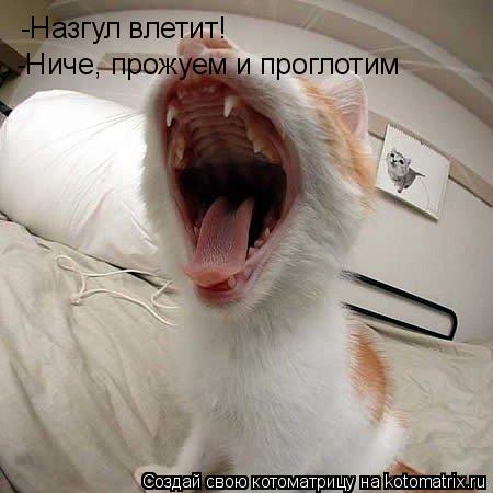 -Назгул влетит! -Назгул влетит! -Ниче, прожуем и проглотим -Ниче, прожуем и проглотим... Котоматрица: -Назгул влетит! -Назгул влетит! -Ниче, прожуем и проглотим -Ниче, прожуем и проглотим