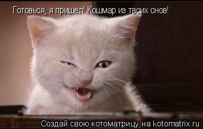 Котоматрица: Готовься, я пришел! Кошмар из твоих снов!