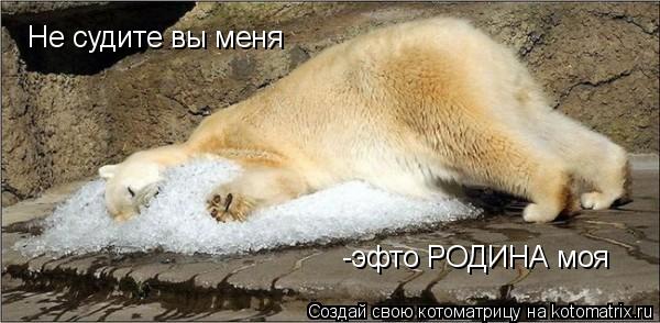 Не судите вы меня -эфто РОДИНА моя... Котоматрица: Не судите вы меня -эфто РОДИНА моя