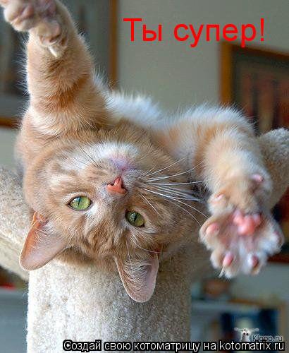 Ты супер! Ты супер!... Котоматрица: Ты супер! Ты супер!