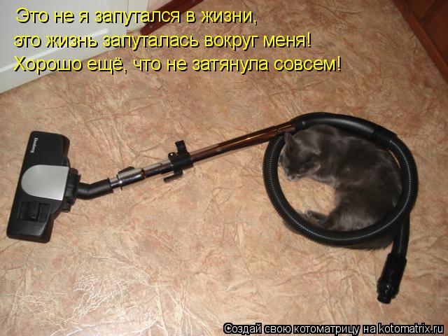 Это не я запутался в жизни, это жизнь запуталась вокруг меня! Хорошо ещё, что не затянула совсем!... Котоматрица: Это не я запутался в жизни, это жизнь запуталась вокруг меня! Хорошо ещё, что не затянула совсем!
