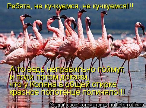 Ребята, не кучкуемся, не кучкуемся!!! А то ведь неправильно поймут, и поди потом докажи, что у Коляна... Котоматрица: Ребята, не кучкуемся, не кучкуемся!!! А то ведь неправильно поймут, и поди потом докажи, что у Коляна в общей стирке красное полотенце полинял