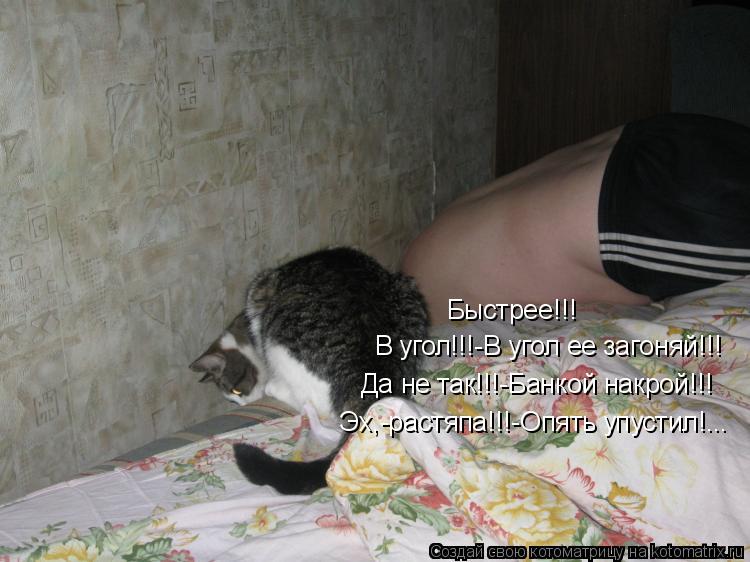 Быстрее!!! В угол!!!-В угол ее загоняй!!! Да не так!!!-Банкой накрой!!! Эх,-растяпа!!!-Опять упустил!... Котоматрица: Быстрее!!! В угол!!!-В угол ее загоняй!!! Да не так!!!-Банкой накрой!!! Эх,-растяпа!!!-Опять упустил!...