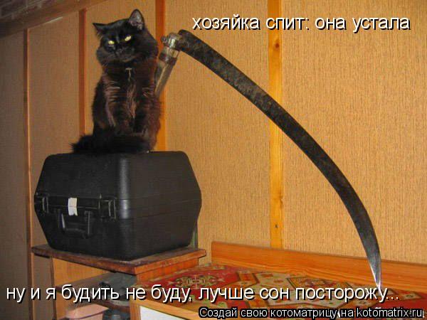 хозяйка спит: она устала ну и я будить не буду, лучше сон посторожу...... Котоматрица: хозяйка спит: она устала ну и я будить не буду, лучше сон посторожу...