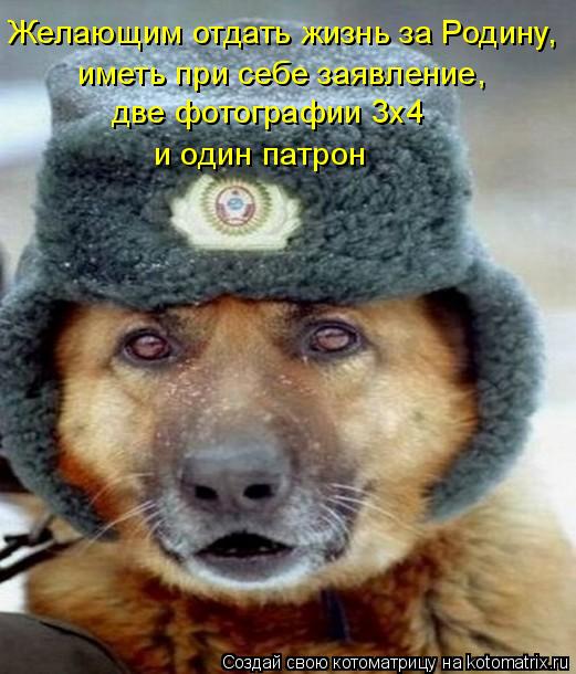 Желающим отдать жизнь за Родину, иметь при себе заявление, две фотографии 3х4 и один патрон... Котоматрица: Желающим отдать жизнь за Родину, иметь при себе заявление, две фотографии 3х4 и один патрон