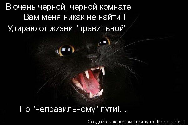 В очень черной, черной комнате Вам меня никак не найти!!! Удираю от жизни "правильной" По "неправильн... Котоматрица: В очень черной, черной комнате Вам меня никак не найти!!! Удираю от жизни "правильной" По "неправильному" пути!...
