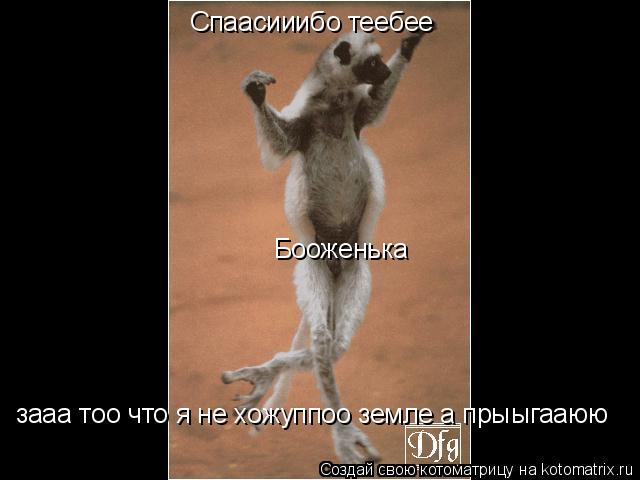 Спаасииибо теебее зааа тоо что я не хожуппоо земле а прыыгааюю Бооженька... Котоматрица: Спаасииибо теебее зааа тоо что я не хожуппоо земле а прыыгааюю Бооженька