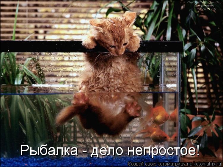 Рыбалка - дело непростое!... Котоматрица: Рыбалка - дело непростое!