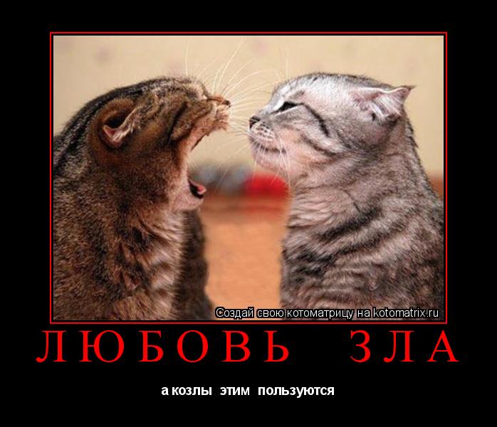 любовь зла а козлы этим пользуются... Котоматрица: любовь зла а козлы этим пользуются