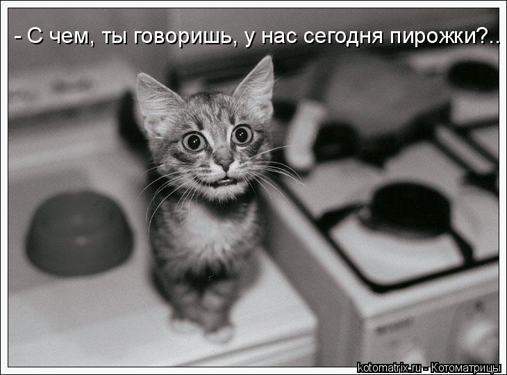 Котоматрица: - С чем, ты говоришь, у нас сегодня пирожки?..