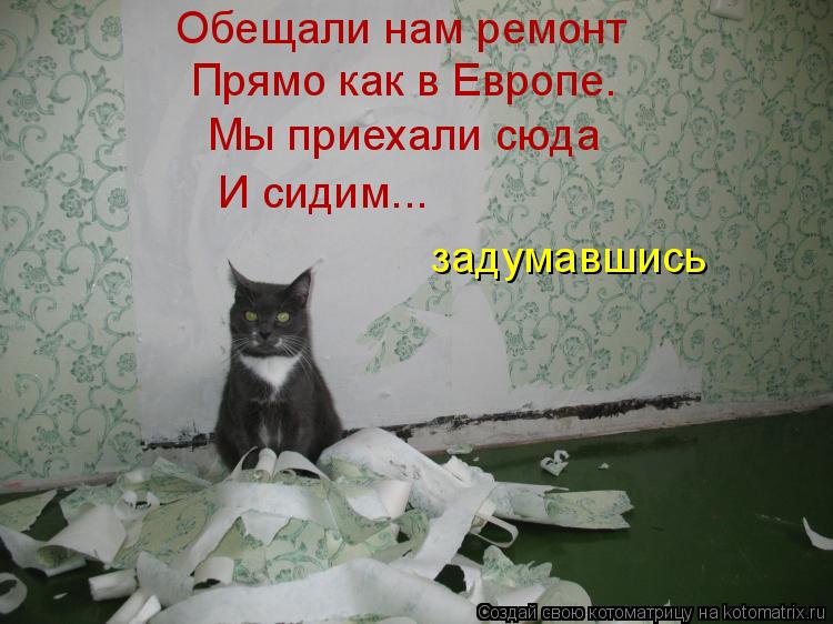 Котоматрица: Обещали нам ремонт Прямо как в Европе. Мы приехали сюда И сидим... задумавшись