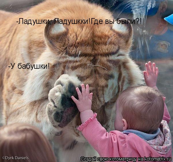 Котоматрица: -Ладушки, Ладушкки!Где вы были?! -У бабушки!