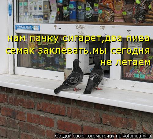 нам пачку сигарет,два пива семак заклевать.мы сегодня не летаем... Котоматрица: нам пачку сигарет,два пива семак заклевать.мы сегодня не летаем