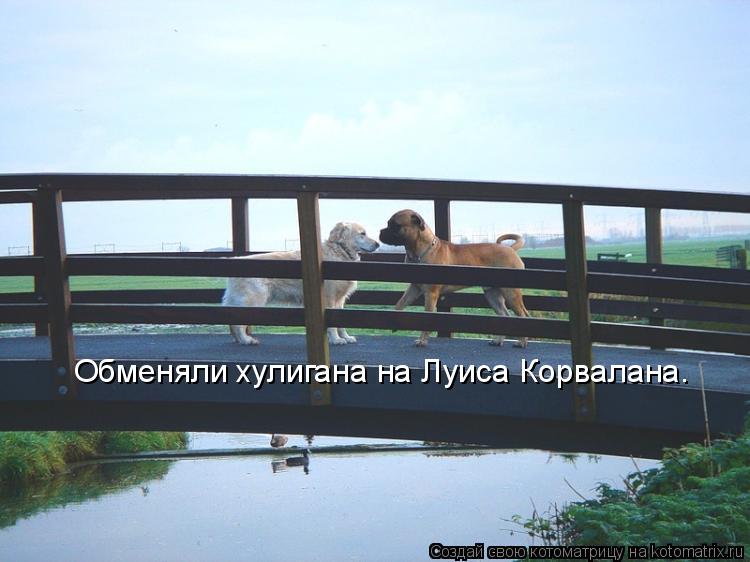 Обменяли хулигана на Луиса Корвалана.... Котоматрица: Обменяли хулигана на Луиса Корвалана.