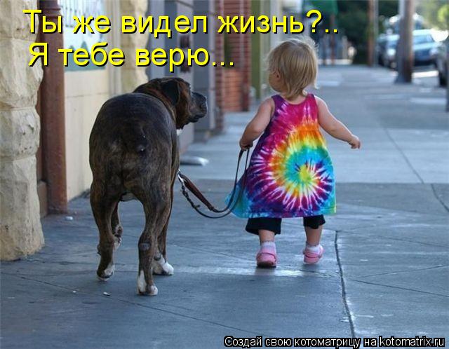 Котоматрица: Ты же видел жизнь?.. Я тебе верю...