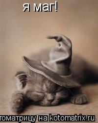 я маг!... Котоматрица: я маг!