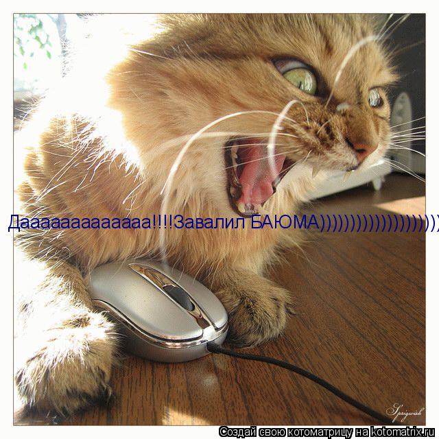 Дааааааааааааа!!!!Завалил БАЮМА)))))))))))))))))))))))... Котоматрица: Дааааааааааааа!!!!Завалил БАЮМА)))))))))))))))))))))))
