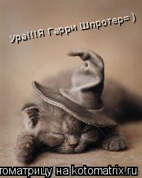 Ура!!!Я Гарри Шпротер=) Ура!!!Я Гарри Шпротер=)... Котоматрица: Ура!!!Я Гарри Шпротер=) Ура!!!Я Гарри Шпротер=)