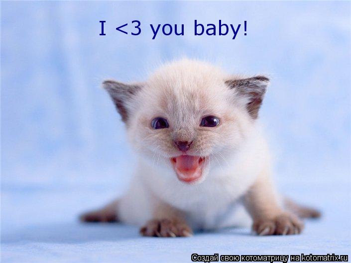 I <3 you baby!... Котоматрица: I <3 you baby!