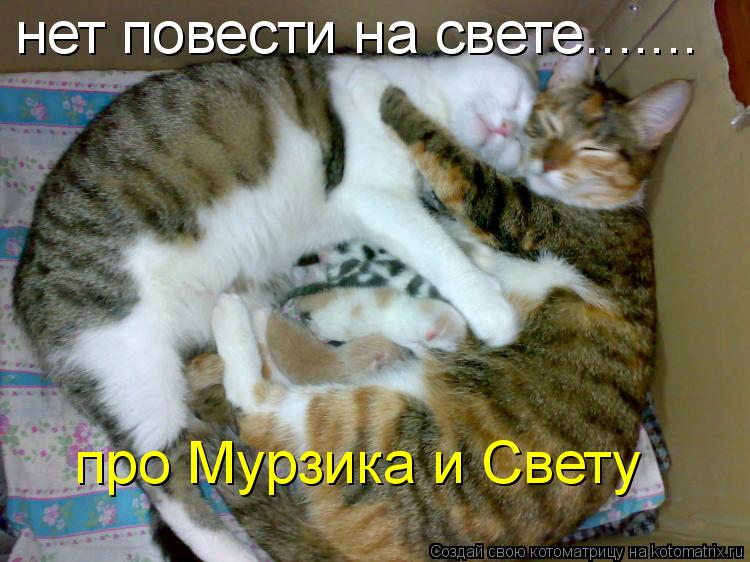 нет повести на свете....... про Мурзика и Свету... Котоматрица: нет повести на свете....... про Мурзика и Свету