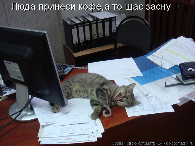 Котоматрица: Люда принеси кофе,а то щас засну